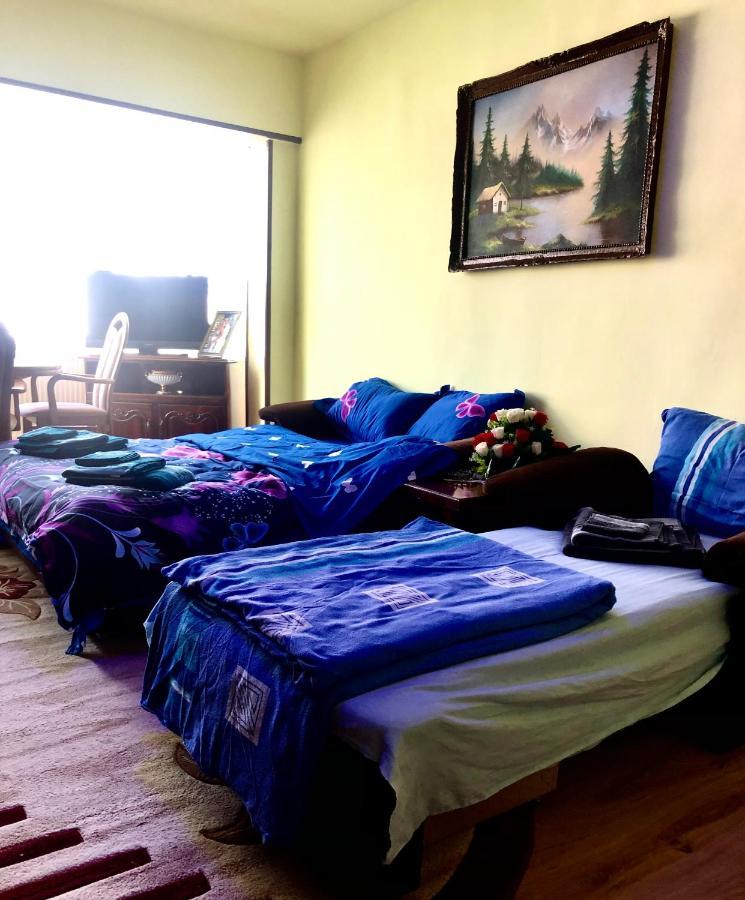 La Symo Apartament Straja Lupeni Lupeni  المظهر الخارجي الصورة